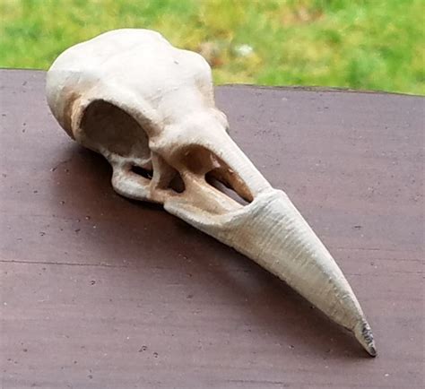 3D Printing skulls iBuild3d