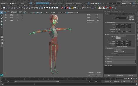 3D RIGGING - SYLLABUS | Indian VFX School - muktibox.com