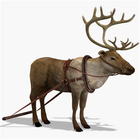 3D Reindeer & Christmas Tree Puzzle, Cardboard Animal Template