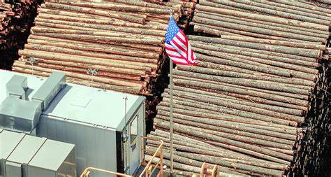 3LOG TIMOs and REITs forestry, timber and wood … - raincitystudios.com