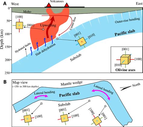 3d Anisotropic Structure Of The Japan Subduction Zone Body Wave Science - Body Wave Science