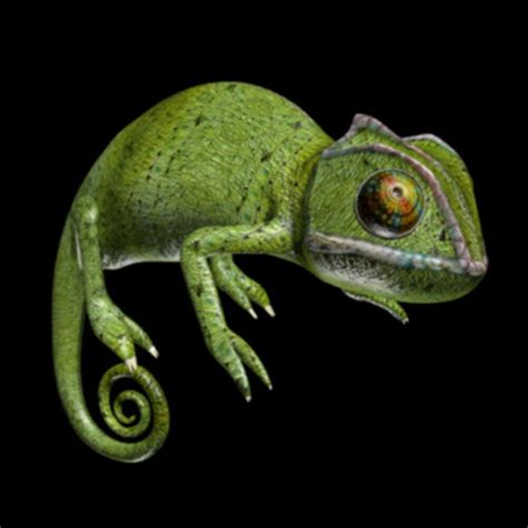 3d chameleon. Things To Know About 3d chameleon. 