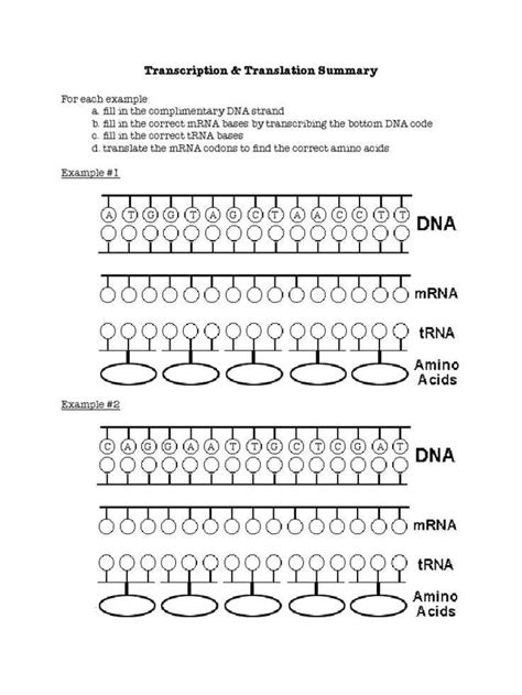 3d molecular designs translation activity guide answer key.  Apr 28, 2022 · Translation Activity...