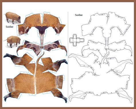 3d Papercraft Animals