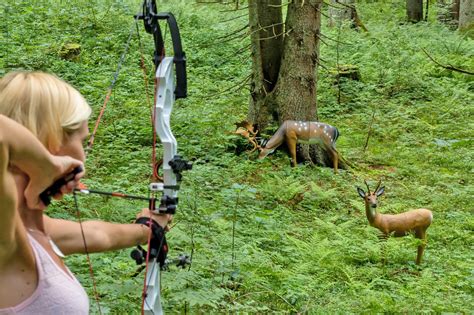 3d parcour bogenschießen bodensee