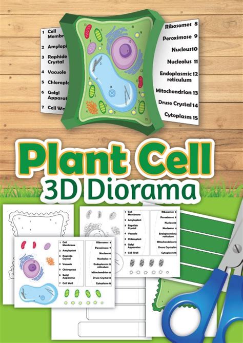 3d Plant Cell Worksheet 24hourfamily Com Science Worksheet 2nd Grade Cells - Science Worksheet 2nd Grade Cells