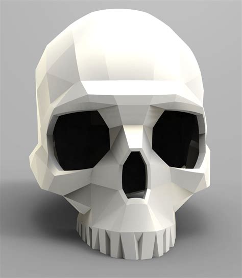 3d skull model