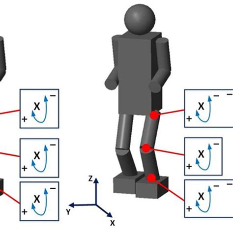 Full Download 3D Modelling Of Biped Robot Locomotion With Walking 