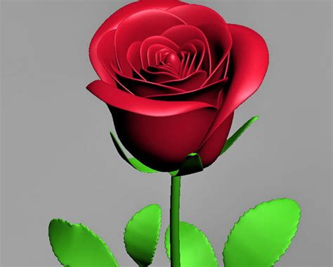 3ds Rose Prix   Free 3d Rose Plant Models Turbosquid - 3ds Rose Prix