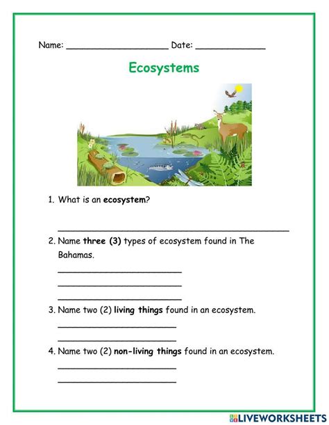3rd Grade Types Of Ecosystem Worksheet Thekidsworksheet