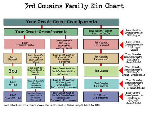 3rd cousin. Learn the meaning of cousin degrees, such as third cousin, and how to calculate your relationship with anyone in your family. See a chart of common ancestor and family relationship terms. 