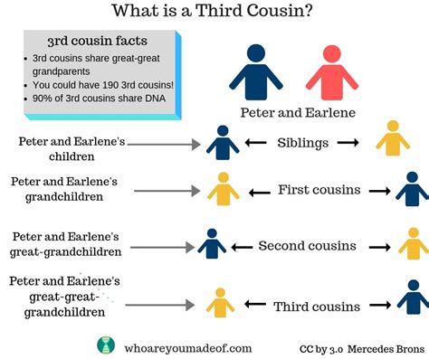 3rd cousins. A third cousin is the child of your parent’s second cousin. Your second cousin is the child of your parent’s first cousin, etc. Your children and your third cousin’s children would be fourth cousins. In most cases, your third cousin has a great-grandparent whose sibling is your great-grandparent. Thus, you and your third … See more 