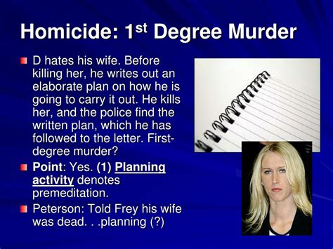3rd degree murders examples