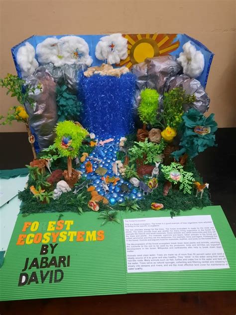3rd Grade Ecosystem Project