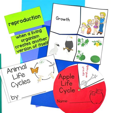 3rd Grade Life Cycle Animations 8211 Elementary Technology Animal Life Cycle 3rd Grade - Animal Life Cycle 3rd Grade