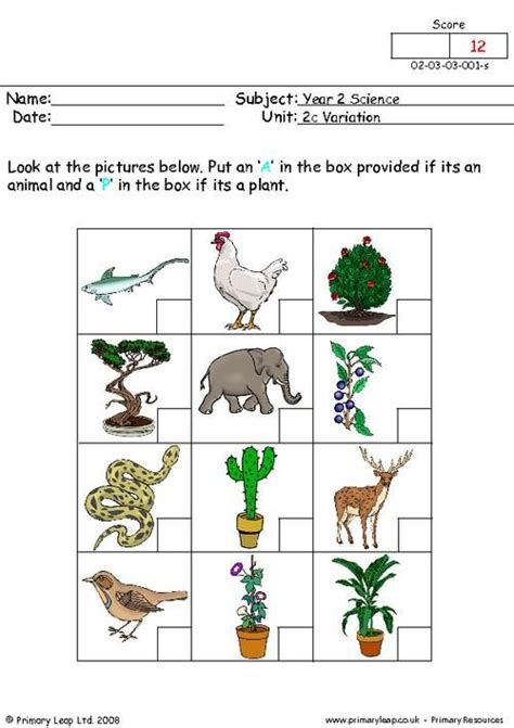3rd Grade Plant And Animal Worksheets Kids Academy Plant Worksheets 3rd Grade - Plant Worksheets 3rd Grade