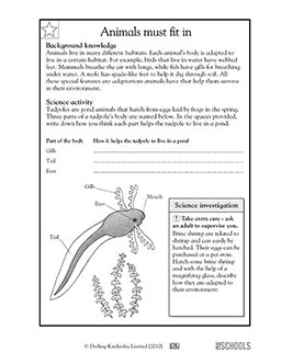 3rd Grade Science Worksheets About Animals Parenting Greatschools 3rd Grade Worksheet Animal Adaptation - 3rd Grade Worksheet Animal Adaptation