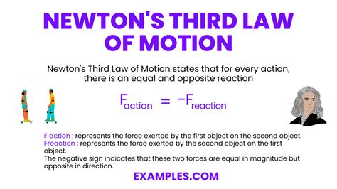 3rd Law Of Motion