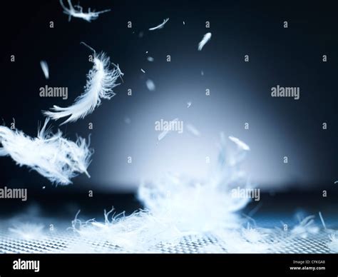 4,864 Feathers Falling Stock Photos, Images