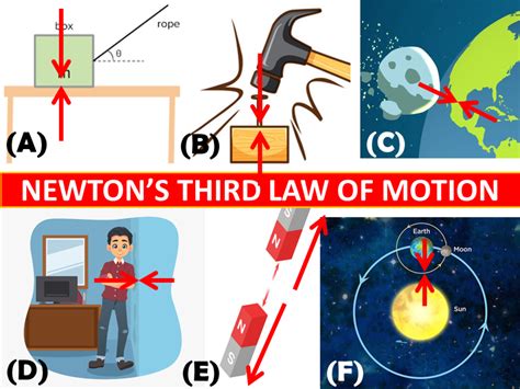 4 4 Newtonu0027s Third Law Of Motion Physics Newton S 3rd Law Worksheet - Newton's 3rd Law Worksheet