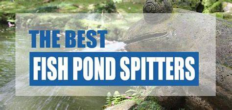 4 Best Garden Pond Spitters (Our Top Picks) - Pond … - raincitystudios.com