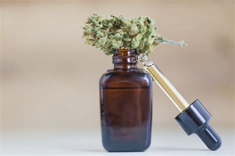 4 Easy CBD Recipes That You Can