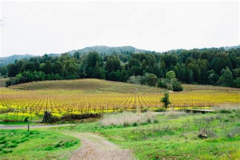 4 Glorious Sonoma Valley Hikes - Sonoma Magazine