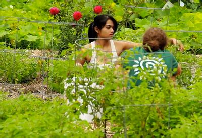4 Principles Behind Designing a Backyard Food Forest - raincitystudios.com