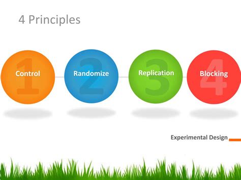 4 Principles Of Experimental Design