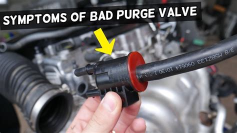 4 Signs of a Failing Purge Valve - Motor Society USA