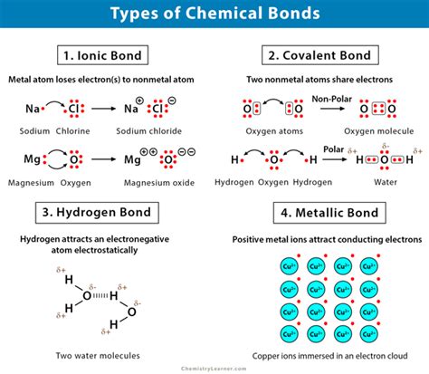 4 Types of Chemical Bonds - dummies - wintechmobiles.com