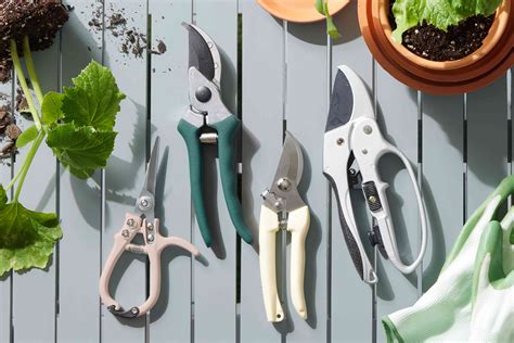 4 Types of Hand Pruners and How to Choose - The Spruce - raincitystudios.com