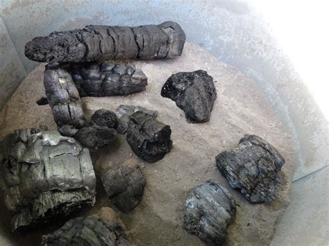 4 Uses for Charcoal and Ash (With Photos)