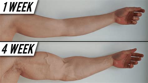 4 Weeks to Big Arms
