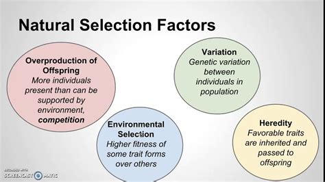 4 factors of natural selection. Things To Know About 4 factors of natural selection. 