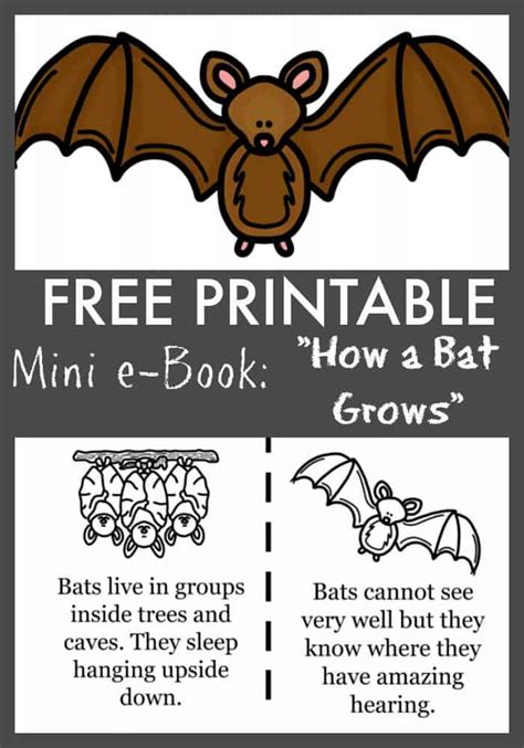 4 Fun And Engaging Bat Activities For Kindergarten Bats Kindergarten - Bats Kindergarten
