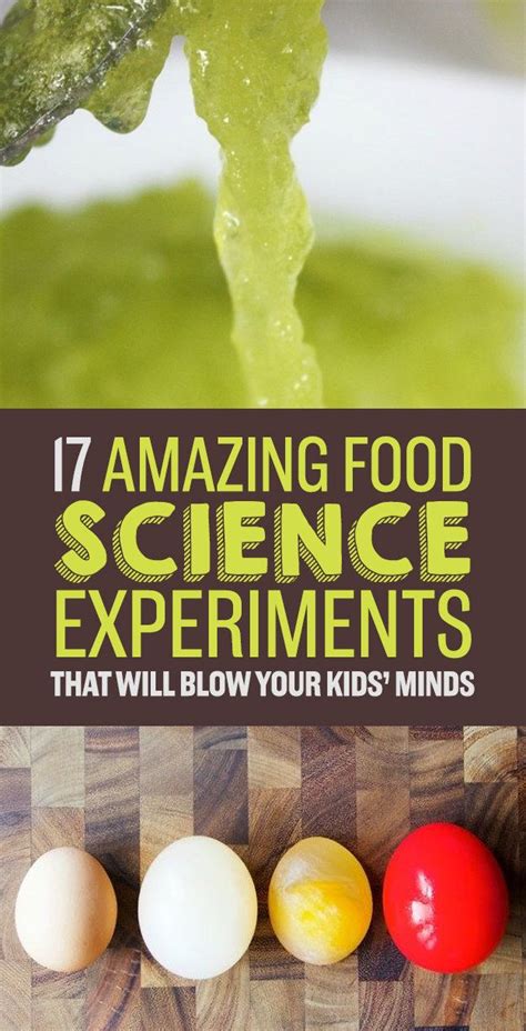 4 Fun Food Experiments For Middle School Science Middle School Science Experiments Ideas - Middle School Science Experiments Ideas