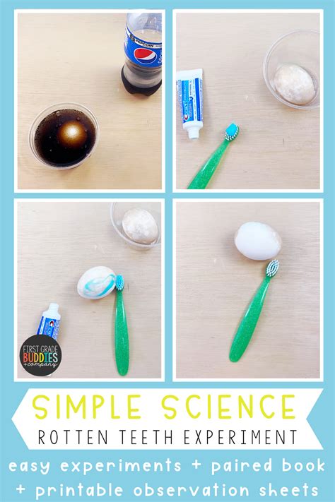 4 Fun Tooth Related Science Experiments For Kids Teeth Science Experiments - Teeth Science Experiments
