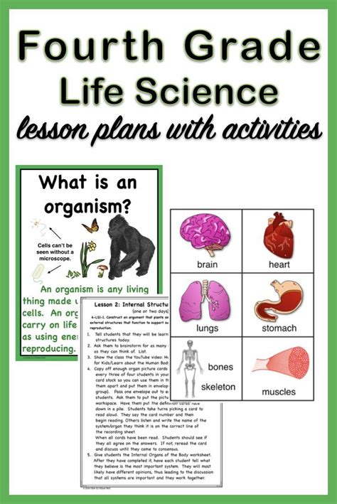 4 Ls Life Science Fourth Grade Next Generation 4th Grade Life Science - 4th Grade Life Science