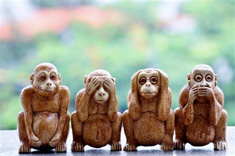 4 monkeys. Things To Know About 4 monkeys. 