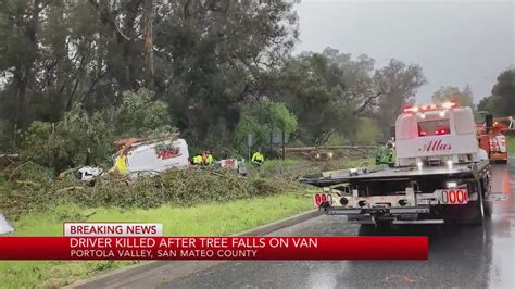 4 of 5 Bay Area storm victims identified