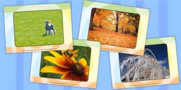 4 Seasons Display Photos Teaching Resource Teacher Made Seasons Pictures For Kids - Seasons Pictures For Kids