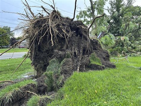4 tornadoes confirmed as Michigan storms down trees and power lines; 5 people killed