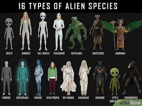 4 Types Of Aliens