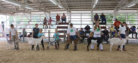 4-H and FFA Dairy Goats Iowa PBS