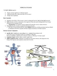 4-IMMUNE_SYSTEM_HANDOUT - muktibox.com