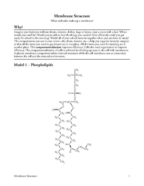 Full Download 4 Membrane Structure S Openwetware Btn Btn Success 