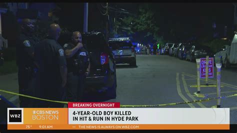 4-year-old boy killed in hit-and-run crash in Hyde Park