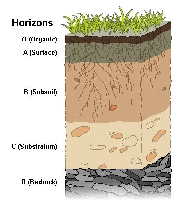 4.10: Reading- Soil Horizons and Profiles - wintechmobiles.com