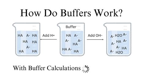 4.14: Buffers - Biology LibreTexts - wintechmobiles.com